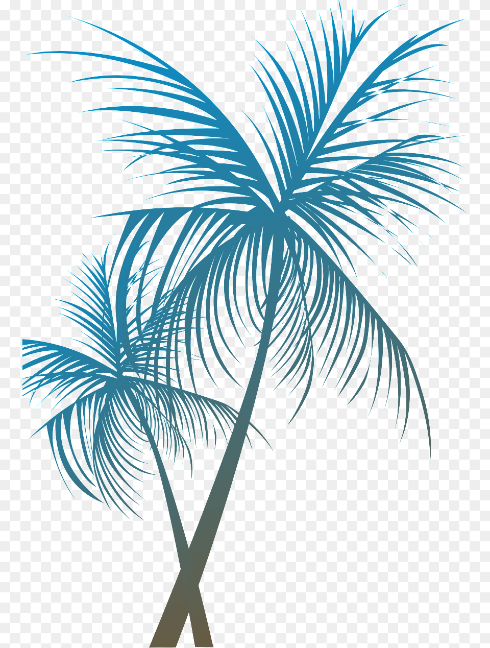 Palm Trees Green, Palm Tree, Plant, Tree, Art Png