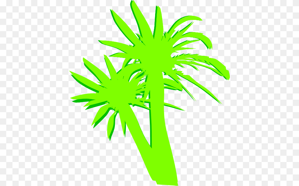 Palm Trees Green, Palm Tree, Plant, Tree, Leaf Free Transparent Png