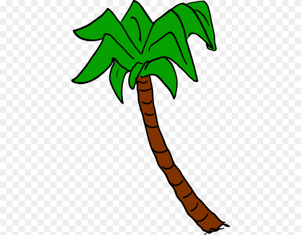 Palm Trees Leaf Color Plants, Palm Tree, Plant, Tree, Person Free Transparent Png