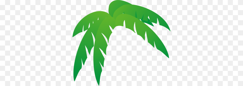 Palm Trees Palm Branch Palm Leaf Manuscript Frond, Plant, Green, Vegetation, Person Free Png Download