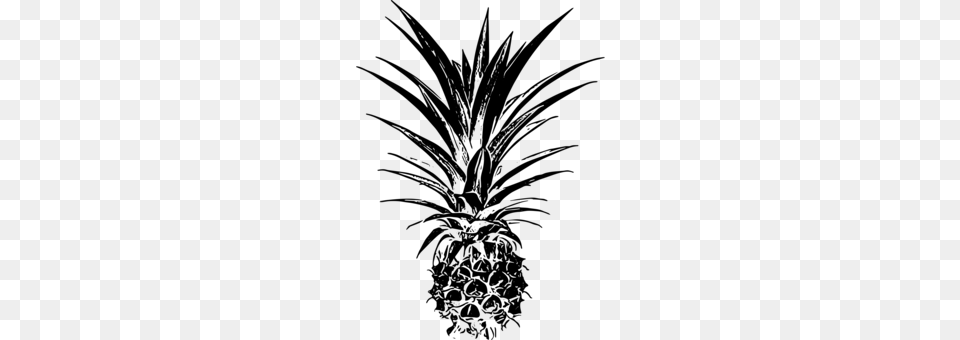 Palm Trees Pineapple Email Remix Leaf, Gray Png Image