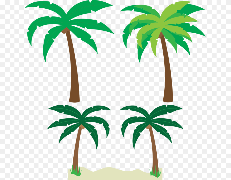 Palm Trees Sabal Palm Coconut Date Palm, Palm Tree, Rainforest, Plant, Vegetation Png