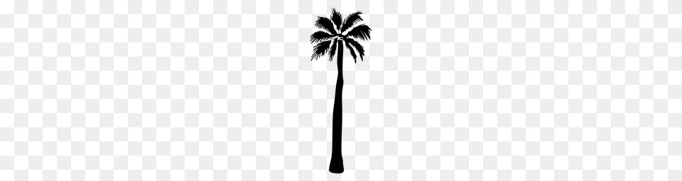 Palm Trees Silhouette, Palm Tree, Plant, Tree Png
