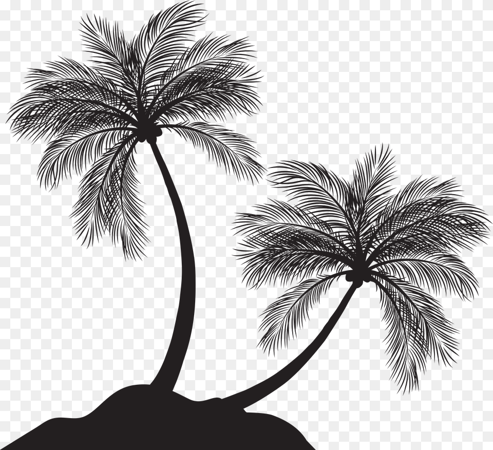 Palm Trees Silhouette, Palm Tree, Plant, Tree, Art Free Transparent Png