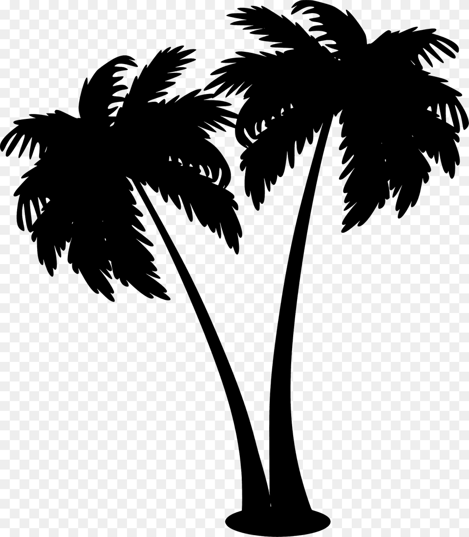 Palm Trees Silhouette, Palm Tree, Plant, Tree, Animal Free Png