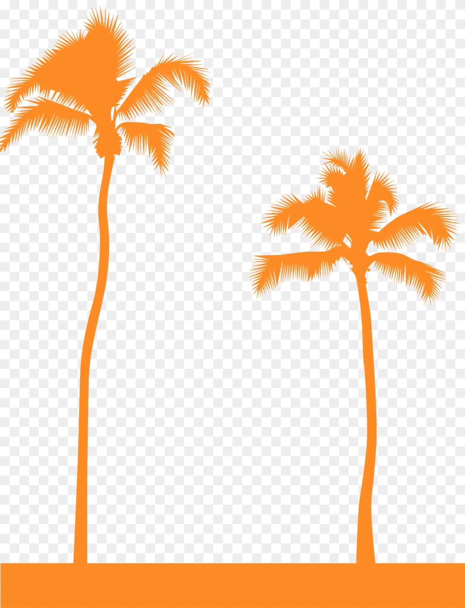 Palm Trees Silhouette, Palm Tree, Plant, Tree, Outdoors Png Image