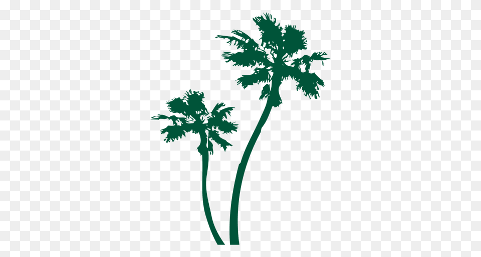 Palm Trees Silhouette, Palm Tree, Plant, Tree, Green Free Png