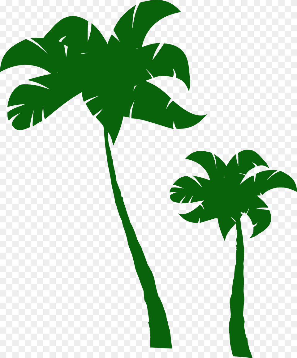 Palm Trees Silhouette, Green, Palm Tree, Plant, Tree Free Png Download