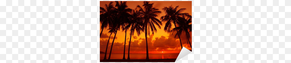 Palm Trees Silhouette On Tropical Beach At Warm Sunset Sunset, Nature, Tree, Summer, Sky Png