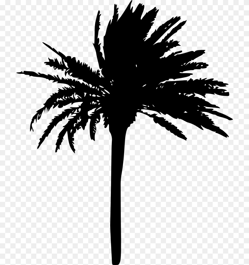 Palm Trees Silhouette Transparent, Gray Free Png Download