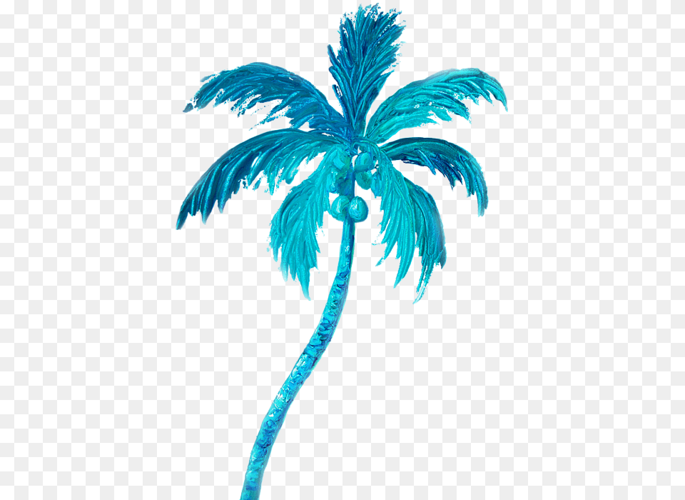 Palm Trees Sticker, Palm Tree, Plant, Tree, Animal Png