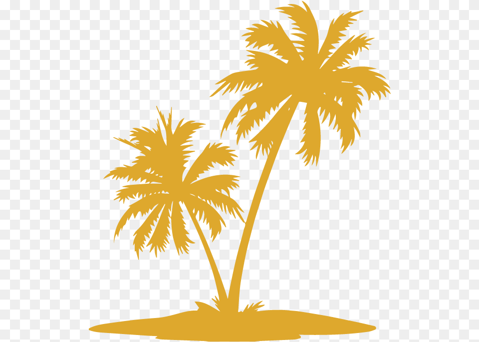 Palm Trees Vector Graphics Clip Art Coconut Tree Vector, Tropical, Plant, Palm Tree, Outdoors Png