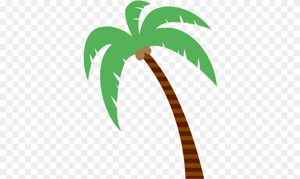 Palm Trees Vector Graphics Coconut Design Palm Tree Graphic, Palm Tree, Plant, Person Png Image