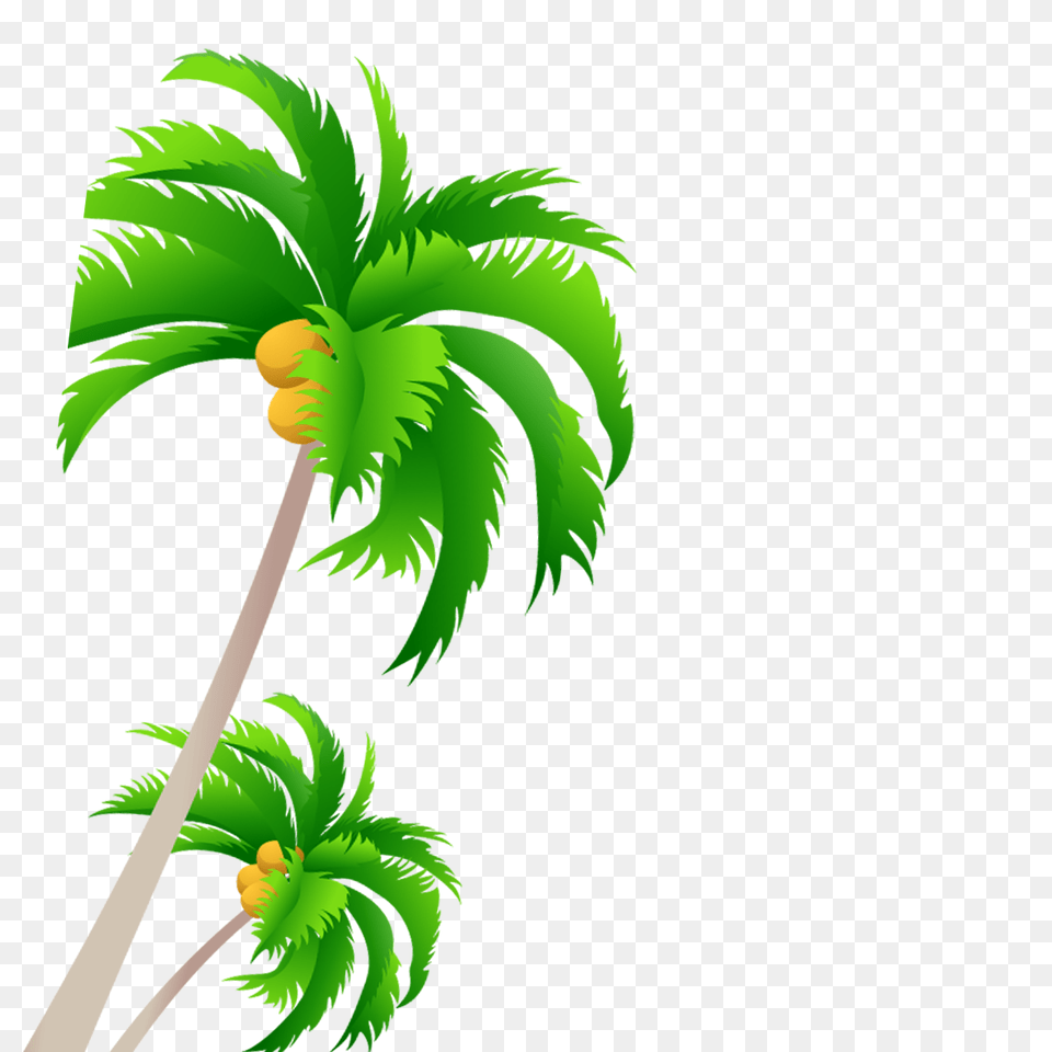 Palm Trees Vector Graphics Portable Network Coconut Palm Tree Vector, Art, Vegetation, Green, Leaf Png