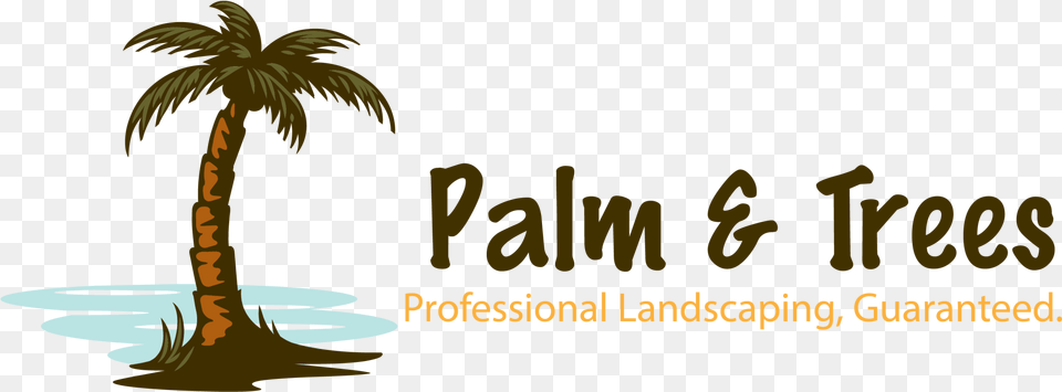 Palm U0026 Trees Landscape Professional Landscaping Guaranteed Pais De Guadalupe, Palm Tree, Plant, Tree, Land Png