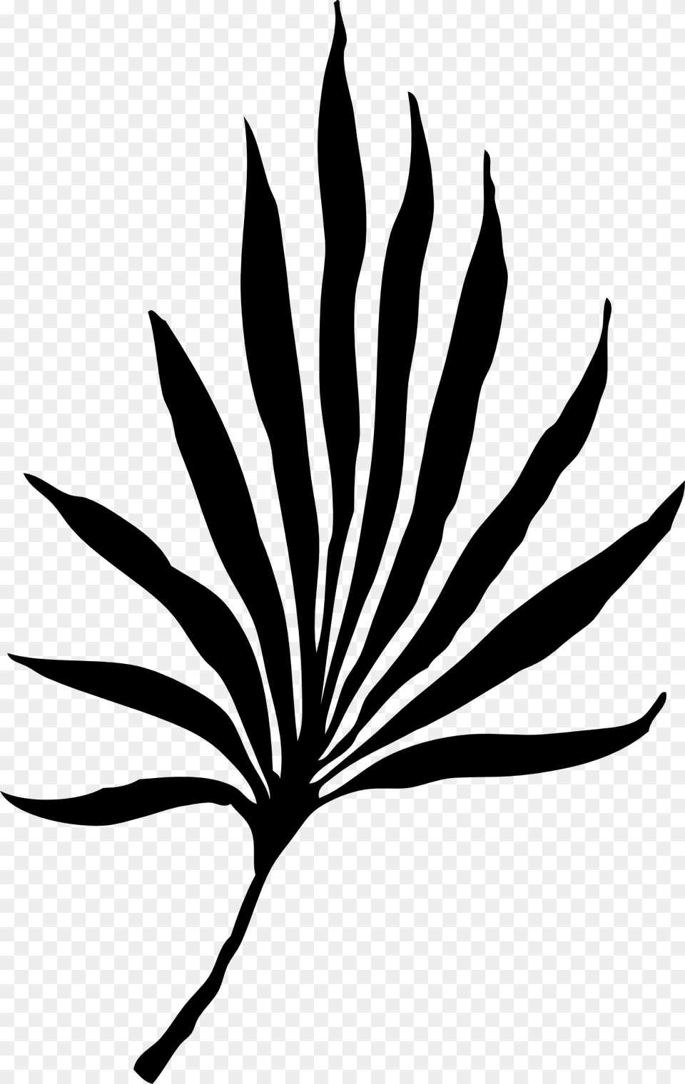 Palm Vector Graphics Palm Frond Clip Art, Leaf, Plant, Stencil, Silhouette Png Image