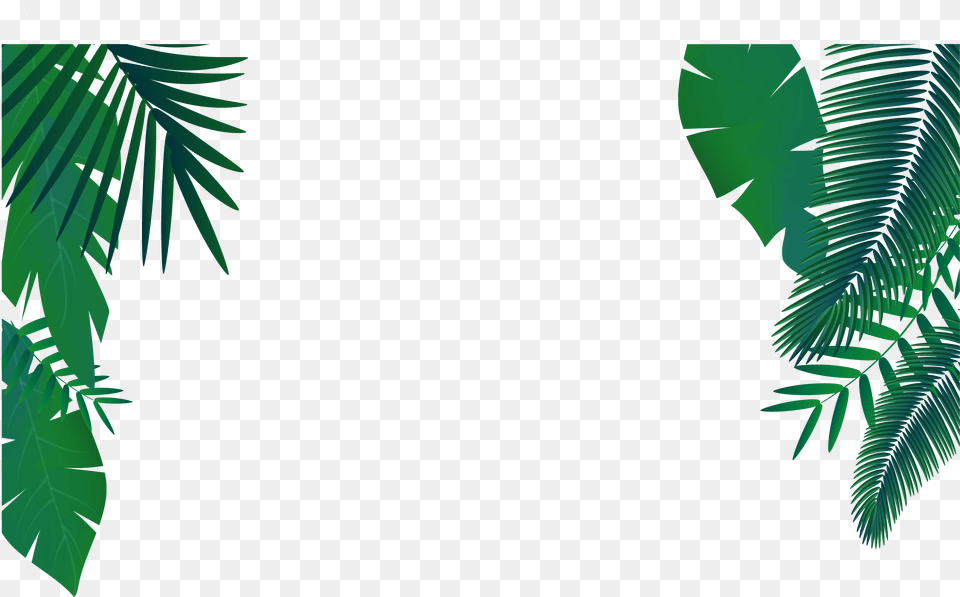 Palm Vector Palm Leaves Vector, Vegetation, Tree, Rainforest, Plant Free Transparent Png