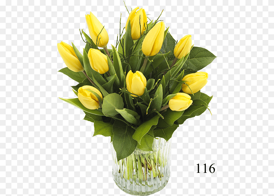 Palma De Mallorca, Flower, Flower Arrangement, Flower Bouquet, Plant Png