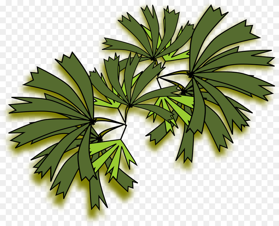 Palmeira Raphis Clip Arts Raphis Palm Top View, Flower, Geranium, Leaf, Plant Free Png Download