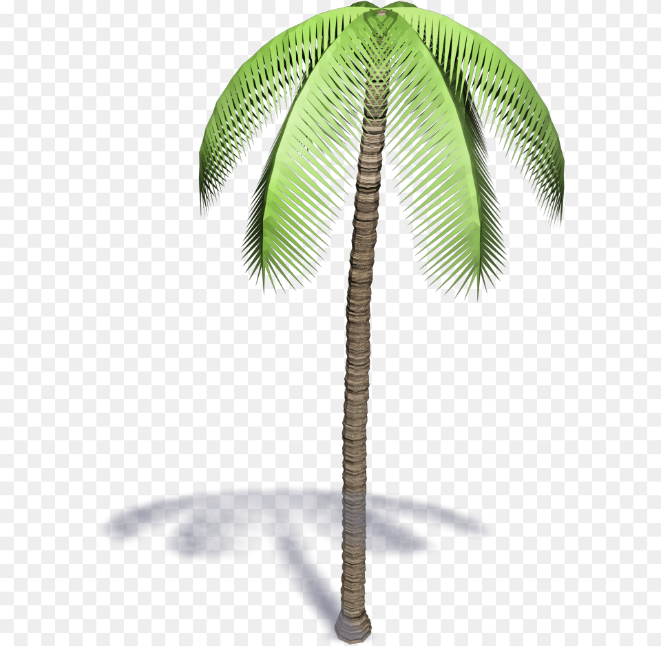 Palmera 3d, Palm Tree, Plant, Tree, Leaf Free Transparent Png