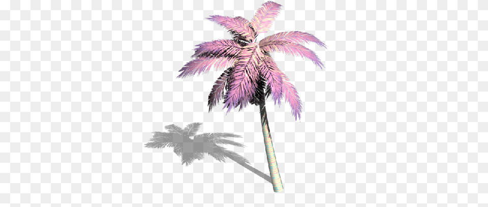 Palmera Palmeras Aesthetic Vaporwave Grunge Tumblr Overlay Palm, Palm Tree, Plant, Tree, Animal Free Png Download