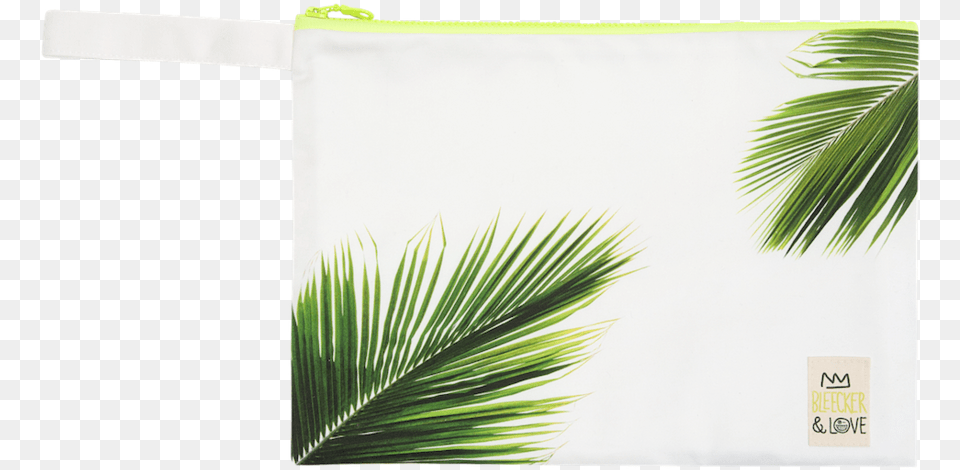 Palmera Saw Palmetto, Leaf, Plant, Bag, Tree Free Png