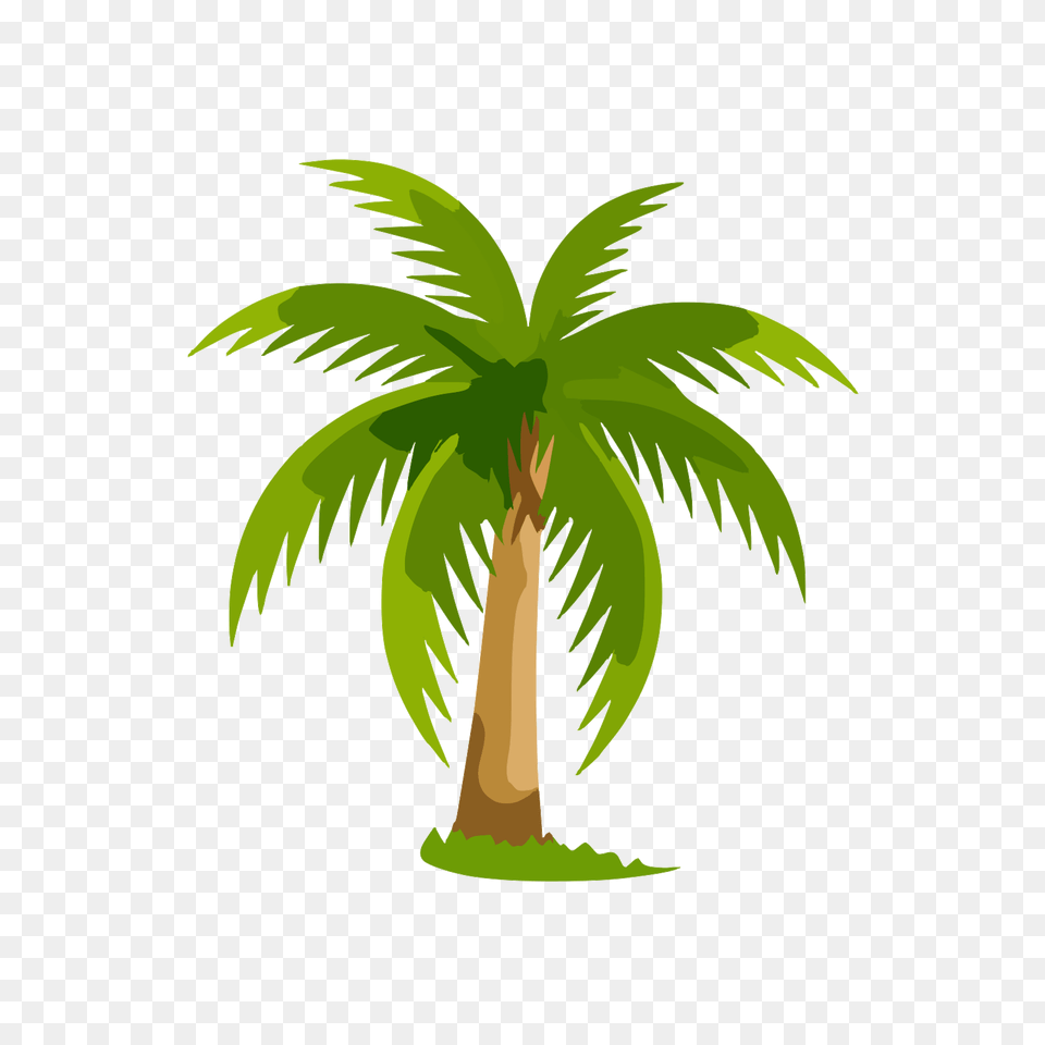 Palmera Tropical Imagui Palm Tree Clip Art, Palm Tree, Plant, Vegetation Png Image