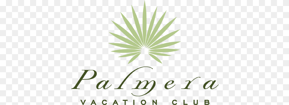 Palmera Vacation Club Hilton Head Islands Premiere Vacation Club, Green Free Png