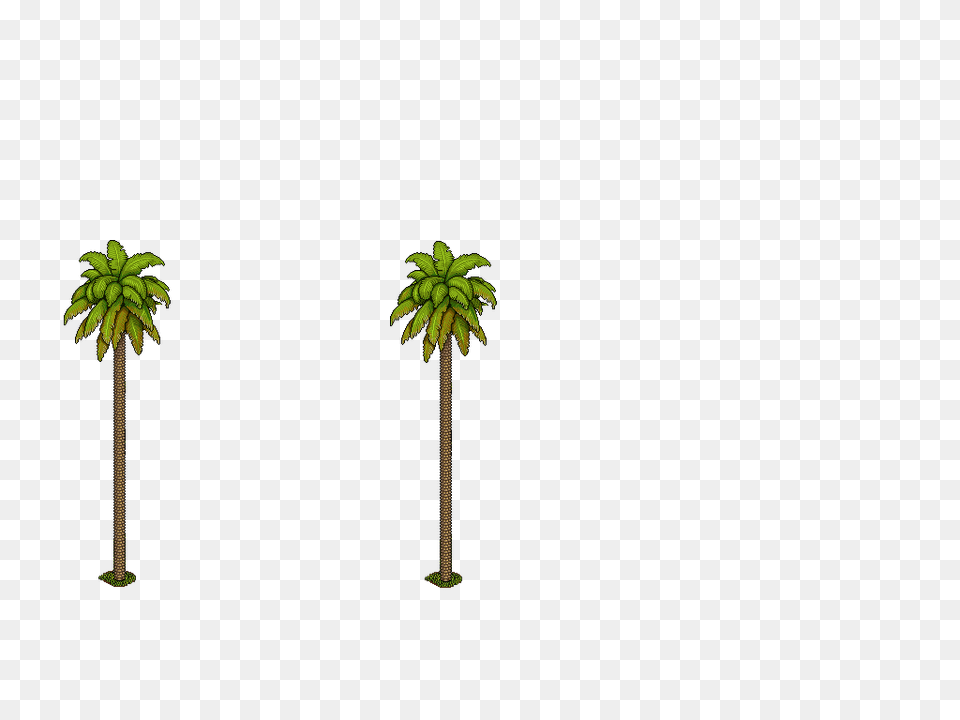 Palmeras, Palm Tree, Tree, Plant, Vegetation Free Png