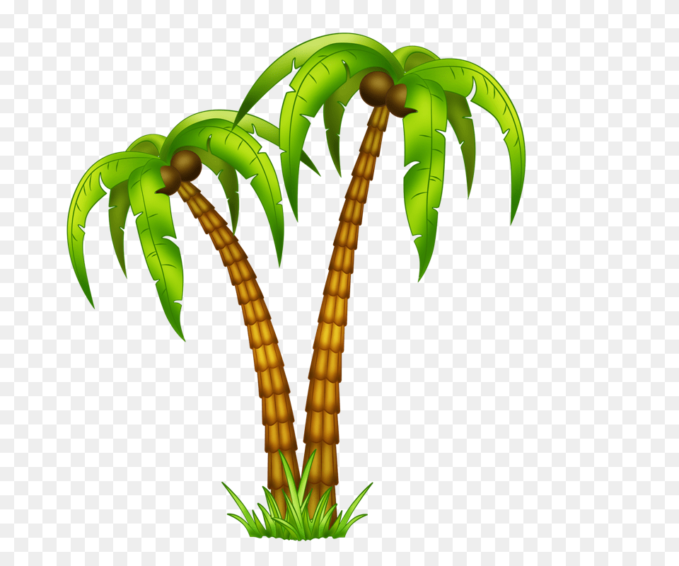 Palmeras Animadas Image, Electronics, Hardware, Fern, Plant Png