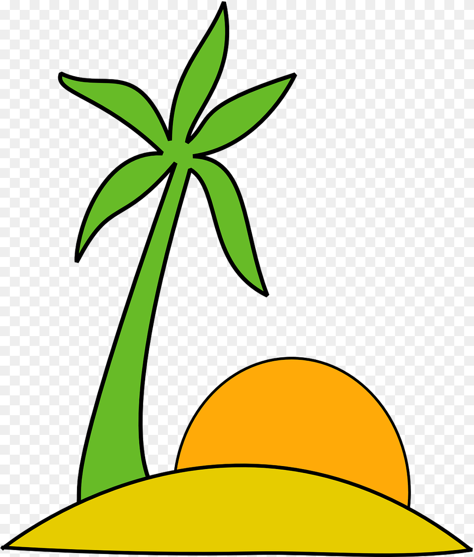 Palmeras Con Sol, Food, Fruit, Plant, Produce Png Image