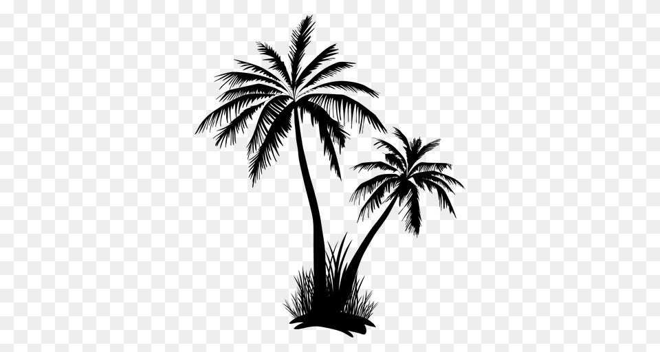 Palmeras En Image, Palm Tree, Plant, Tree, Vegetation Free Png Download