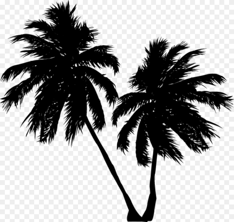 Palmeras Sombra Black Stiker Palm Tree, Gray Free Transparent Png