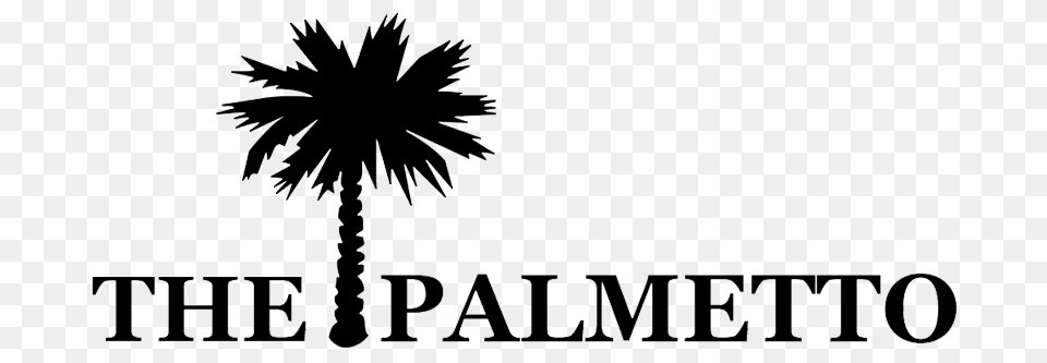 Palmetto High School Golf Championship High School Golf, Palm Tree, Plant, Tree, Silhouette Png Image