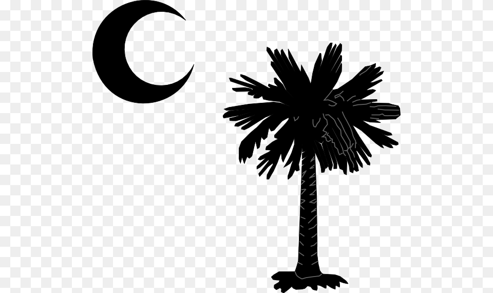 Palmetto Moon Black Clip Art South Carolina Palmetto Tree, Palm Tree, Plant, Silhouette, Stencil Free Transparent Png