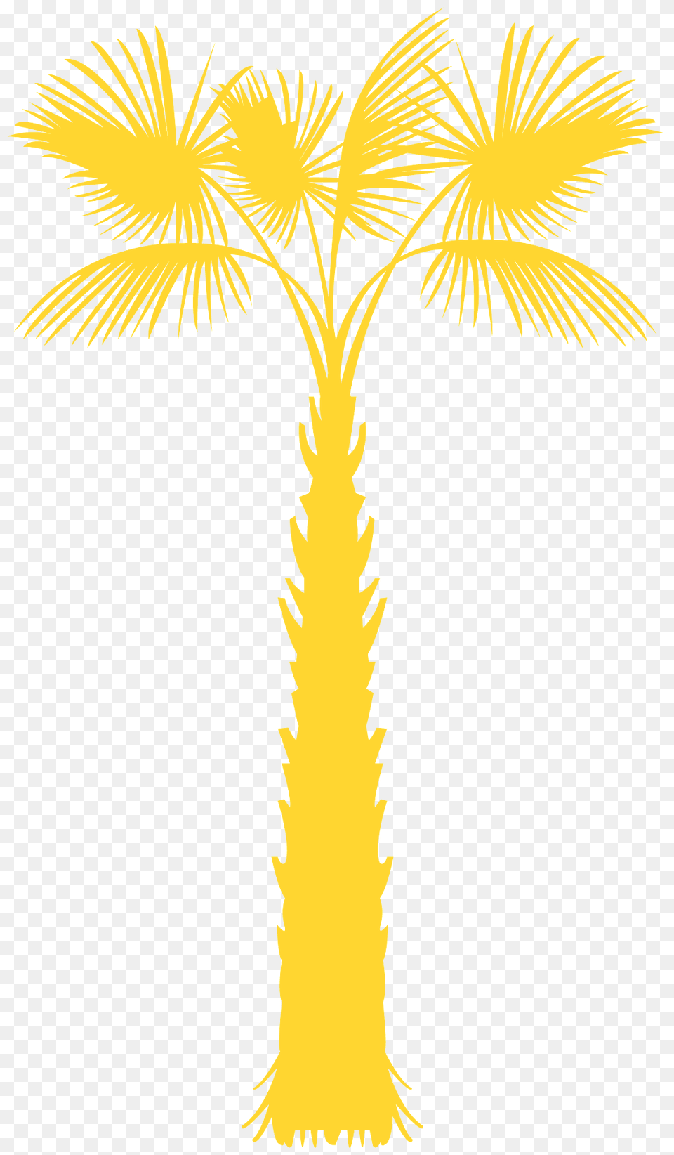 Palmetto Silhouette, Palm Tree, Plant, Tree, Person Free Png Download