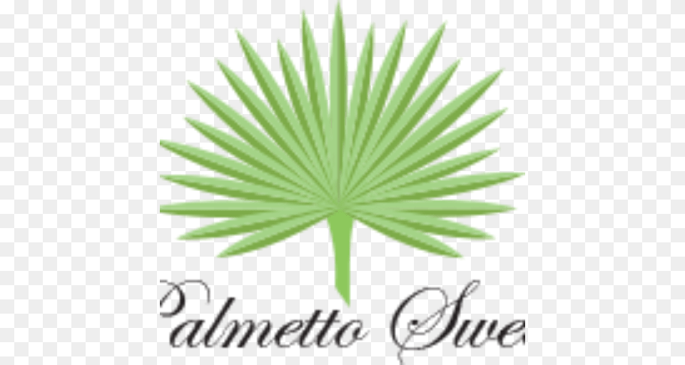 Palmetto Sweets A Hand Crafted Southern Tradition, Leaf, Plant, Tree, Green Free Png Download