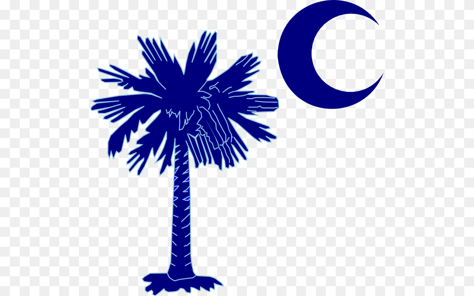 Palmetto Tree And Crescent Moon South Carolina Palmetto, Palm Tree, Plant, Outdoors Free Transparent Png
