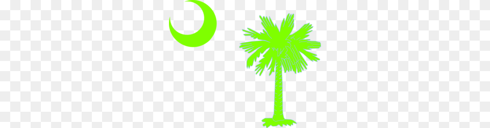 Palmetto Tree Clip Art Look, Palm Tree, Plant, Daisy, Flower Free Png Download