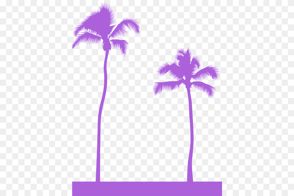 Palmi Siluet, Palm Tree, Plant, Tree, Purple Free Png