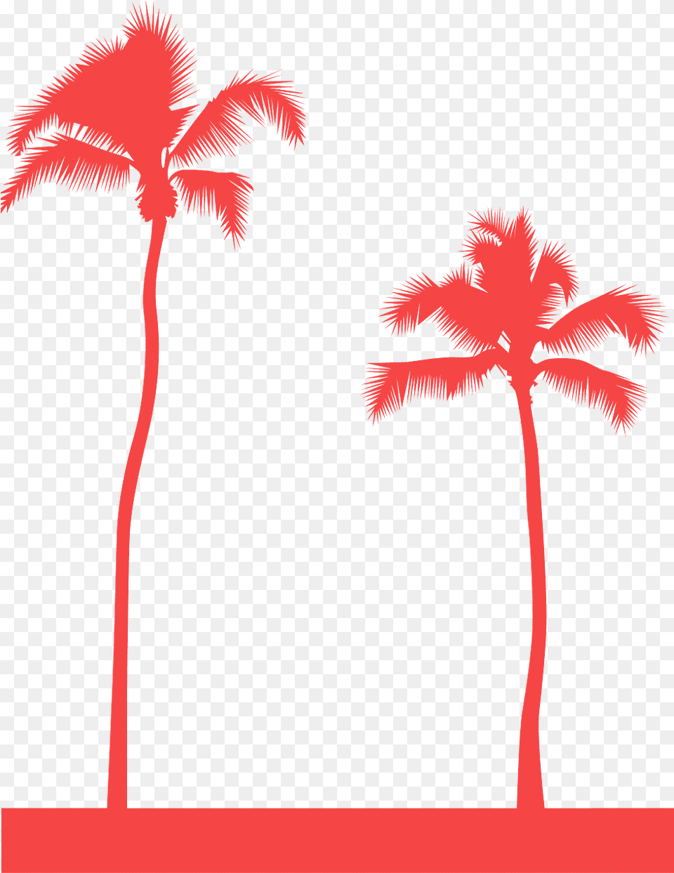 Palmi Siluet, Palm Tree, Plant, Tree Free Png Download