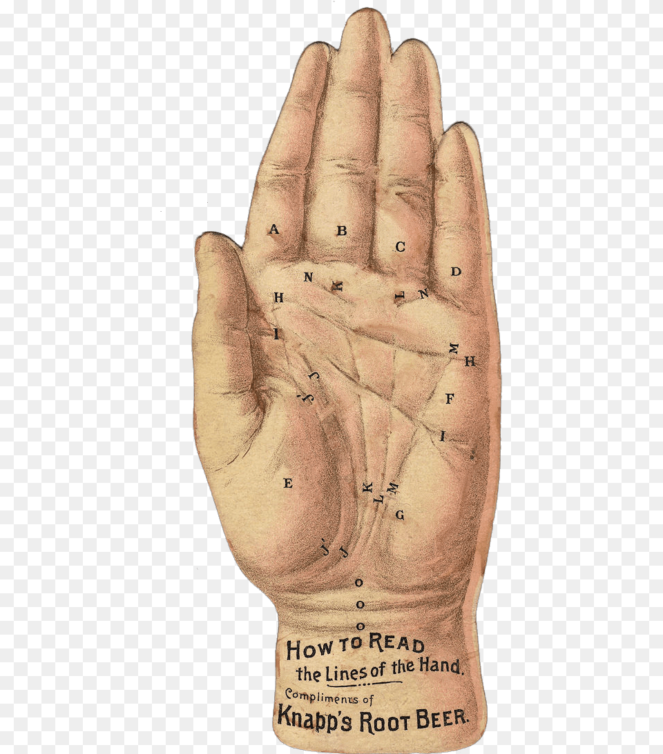 Palmistry, Glove, Person, Hand, Body Part Free Png Download