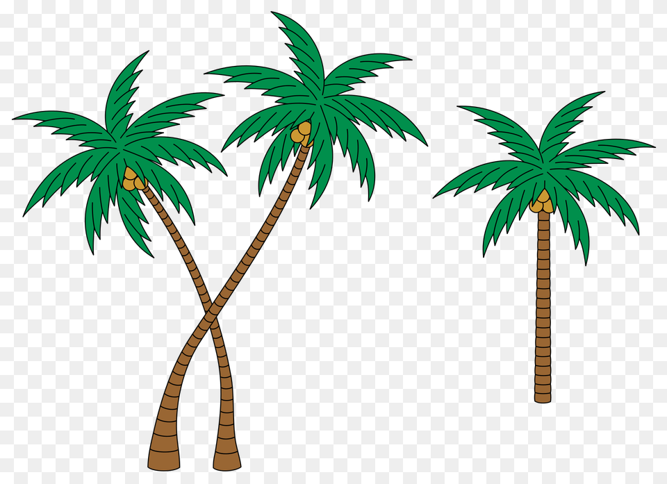 Palms, Palm Tree, Plant, Tree, Vegetation Png Image