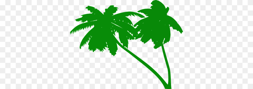 Palms Flower, Geranium, Green, Leaf Png Image