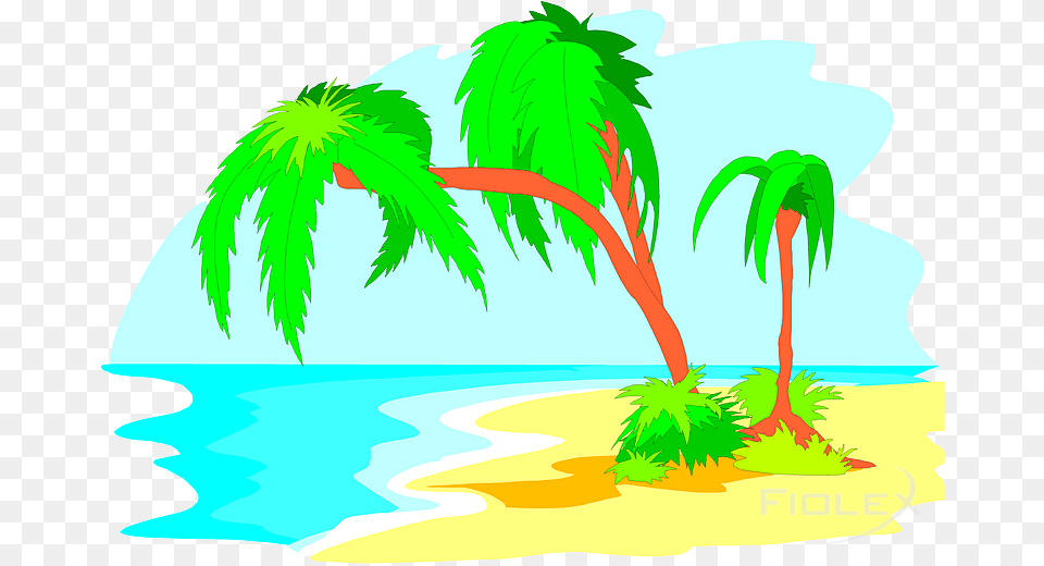 Palms, Plant, Tropical, Tree, Nature Free Png Download