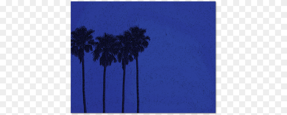 Palms At Midnight Note Carddata Captionclass Borassus Flabellifer, Palm Tree, Plant, Summer, Tree Free Png Download