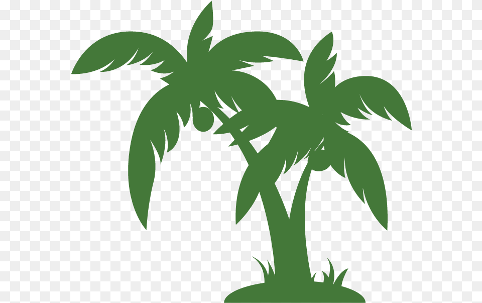 Palms Palm Tree Vector, Vegetation, Plant, Green, Outdoors Free Png Download