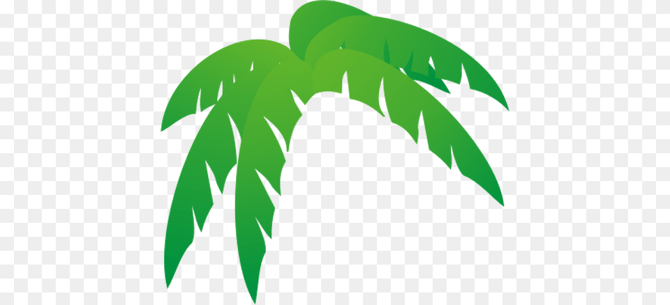 Palms Tree Leaves Vector Illustration, Green, Leaf, Plant, Fern Png Image