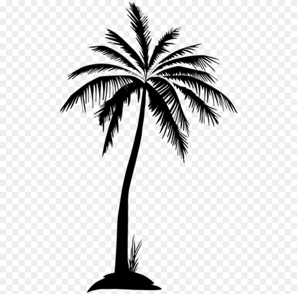 Palmtree Tree Leaves Leaf Silhouette Freetoedit Palm Trees Black Silhouette, Gray Free Transparent Png