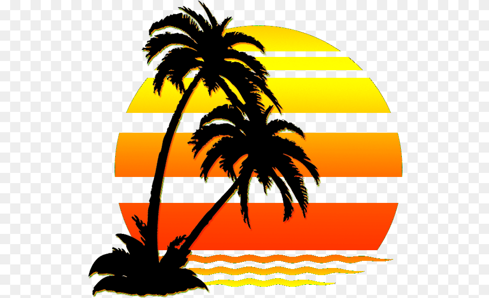 Palmtree Water Sunset Silhouette Sun Aesthetic Palm Tree Beach Clipart, Nature, Sky, Plant, Palm Tree Png